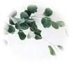 product-105-96 product-105-96